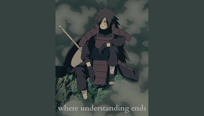 where understanding ends